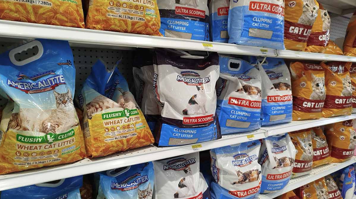 Proponen eliminar IVA en alimentos y medicinas para mascotas y hacer deducibles los gastos veterinarios