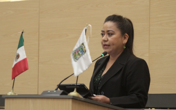 Urgente fortalecer prevención y atención de preeclampsia y eclampsia: Celia Bonaga Ruíz