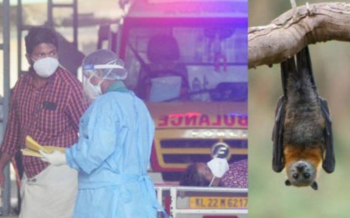 Crece preocupación por virus Nipah al confirmarse cinco casos en la India