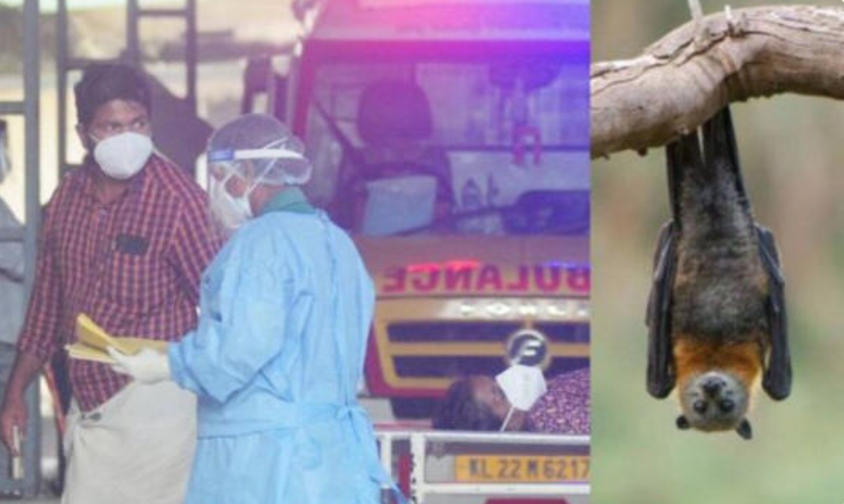 Crece preocupación por virus Nipah al confirmarse cinco casos en la India