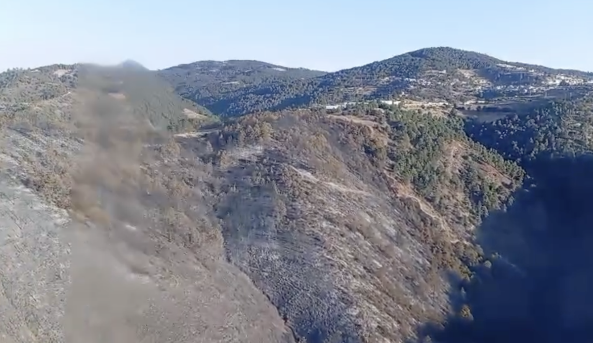 Controlado el incendio en Vicente Guerrero, está controlado en un 90%. Protección Civil