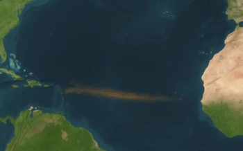 Cinturón marrón aparece entre África y el Atlántico. Científicos hablan de un aumento de sargazo