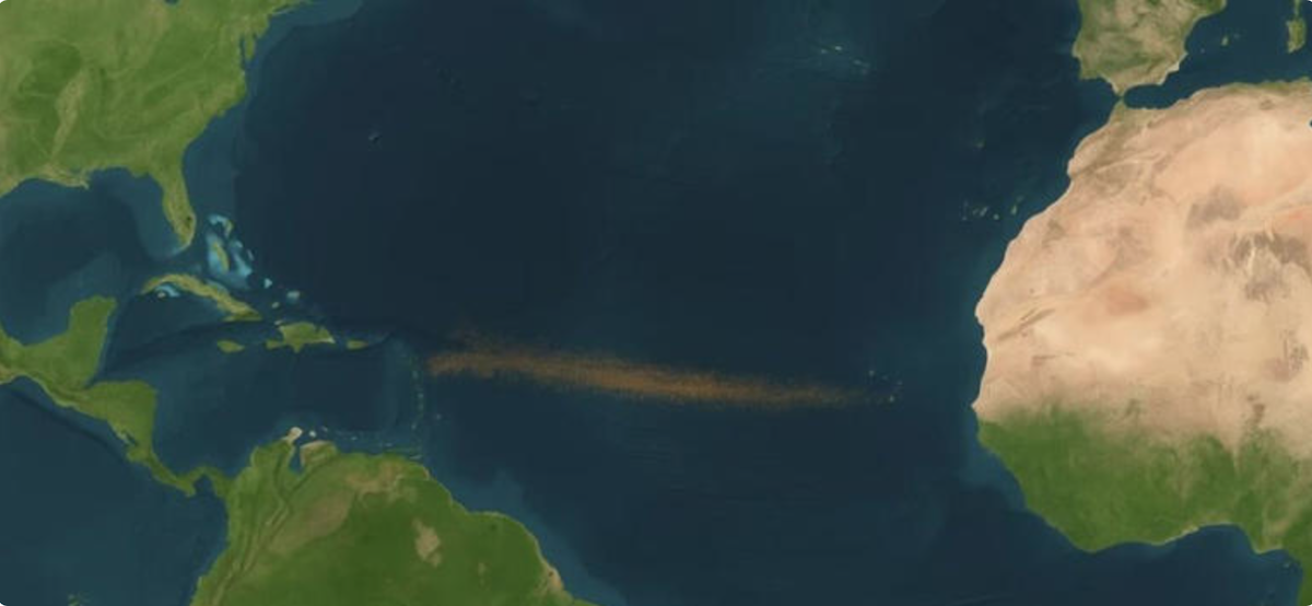 Cinturón marrón aparece entre África y el Atlántico. Científicos hablan de un aumento de sargazo