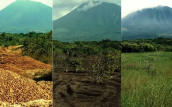 12 mil toneladas de cáscaras de naranja transformaron un desierto a un bosque en Costa Rica