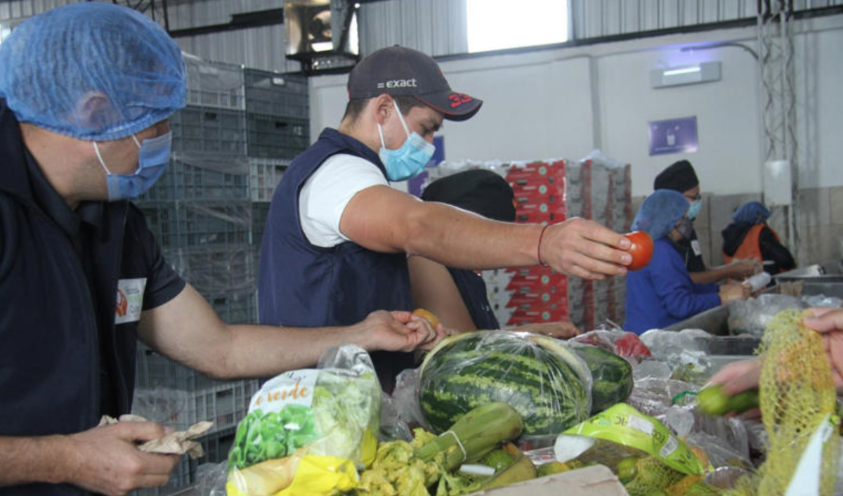 Toneladas de comida mexicana en buen estado terminan en la basura de EE.UU.