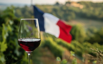 Francia registra su menor producción de vino desde 1957 por la sequía y las olas de calor Francia registra su menor producción de vino desde 1957 por la sequía y las olas de calor