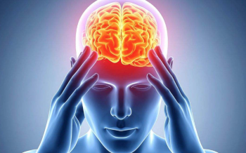Científicos descubren que el cerebro consta de dos órganos separados Científicos descubren que el cerebro consta de dos órganos separados