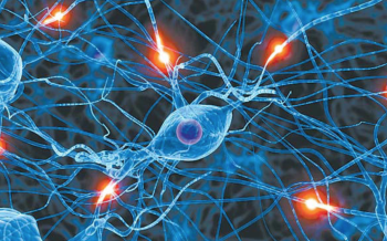 El Nobel de medicina 2026 otorgado a la Optogenética, la técnica que estimula las neuronas con luz